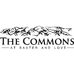 the commons
